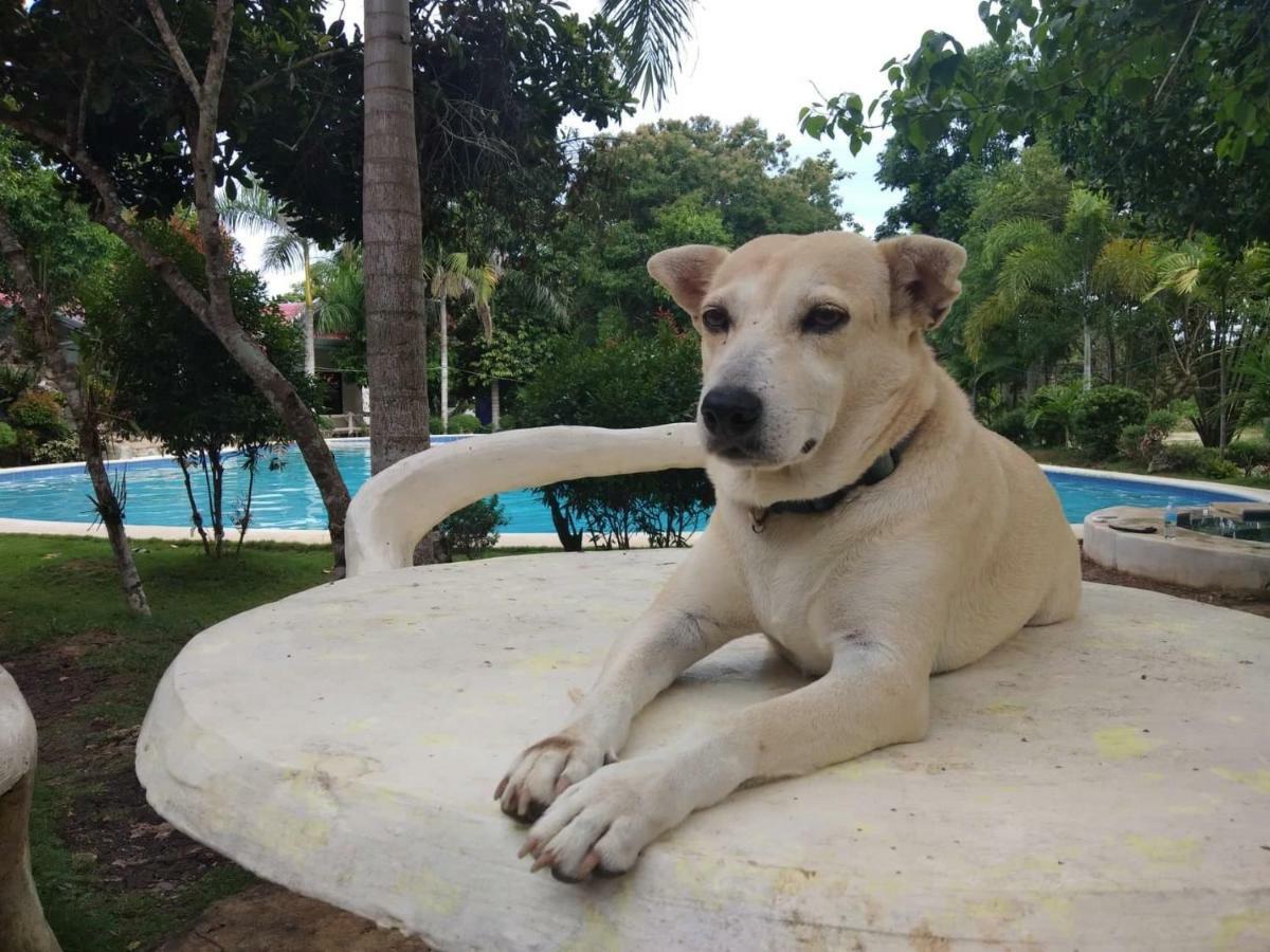 อัลมิรา ไดฟ์วิง รีสอร์ต Hotel Tangnan ภายนอก รูปภาพ